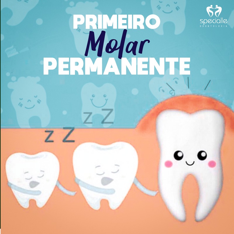 Primeiro molar permanente 